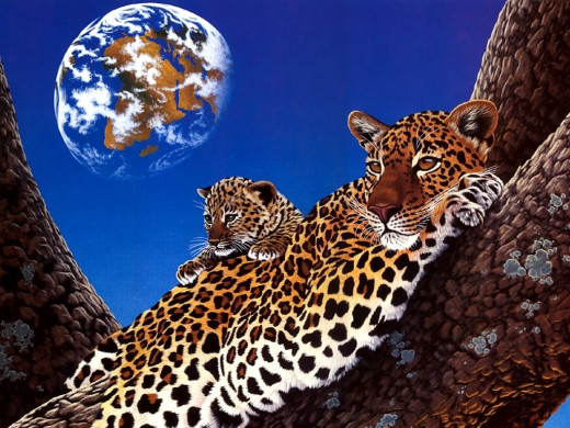 316633 (a): :1024x768
